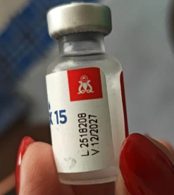 Exemplo de foto do lote